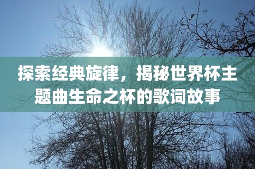 探索经典旋律，揭秘世界杯主题曲生命之杯的歌词故事