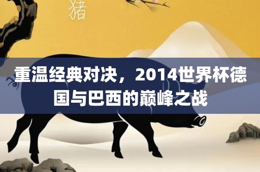 重温经典对决，2014世界杯德国与巴西的巅峰之战漯河市盈旭机械设备有限公司