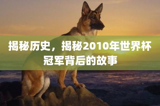揭秘历史，揭秘2010年世界杯冠军背后的故事