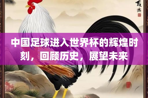 中国足球进入世界杯的辉煌时刻，回顾历史，展望未来