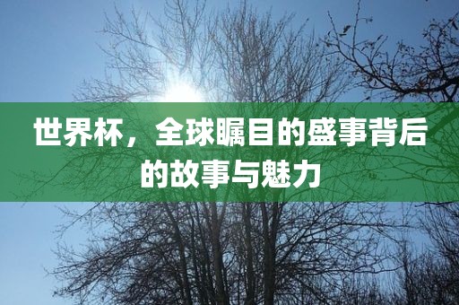 世界杯，全球瞩目的盛事背后的故事与魅力漯河市盈旭机械设备有限公司