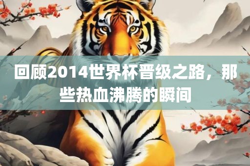 回顾2014世界杯晋级之路，那些热血沸腾的瞬间