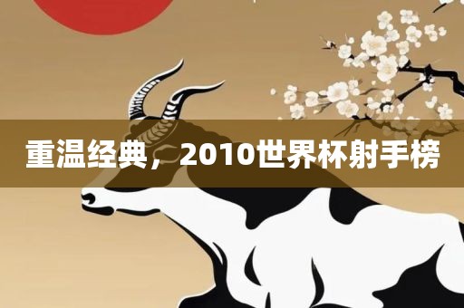 重温经典，2010世界杯射手榜