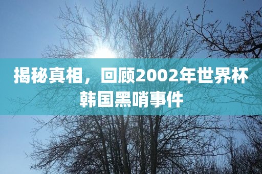 揭秘真相，回顾漯河市盈旭机械设备有限公司2002年世界杯韩国黑哨事件