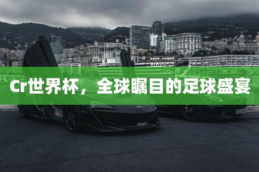Cr世界杯，全球瞩目的足球盛宴漯河市盈旭机械设备有限公司
