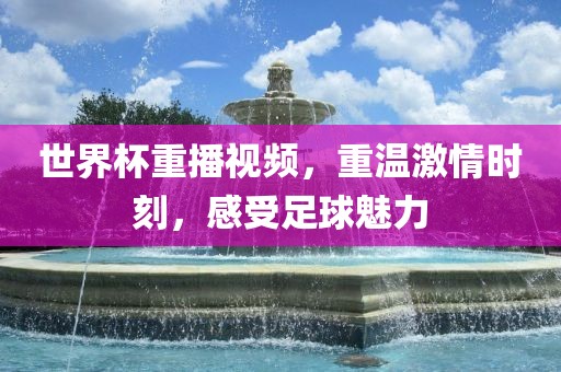 世界杯重播视频，重温激情时刻，感受足球魅力