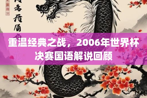 重温经典之战，2006年世界杯决赛国语解说回顾漯河市盈旭机械设备有限公司