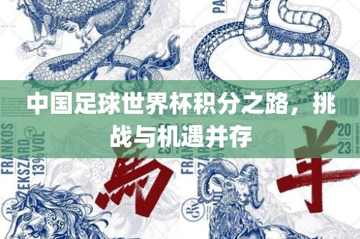 中国足球世界杯积分之路，挑战与机遇并存