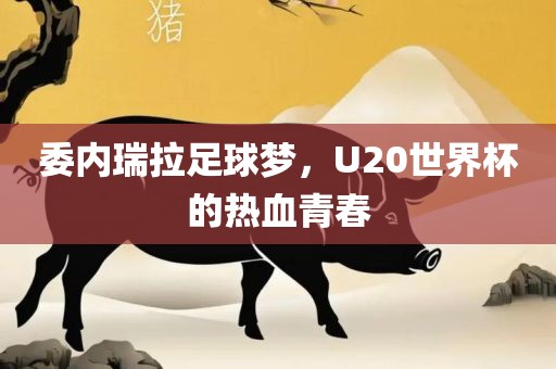 委内瑞拉足球梦，U20世界杯的热血青春