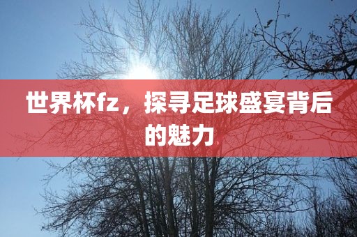 世界杯fz，探寻足球盛宴背后的魅力