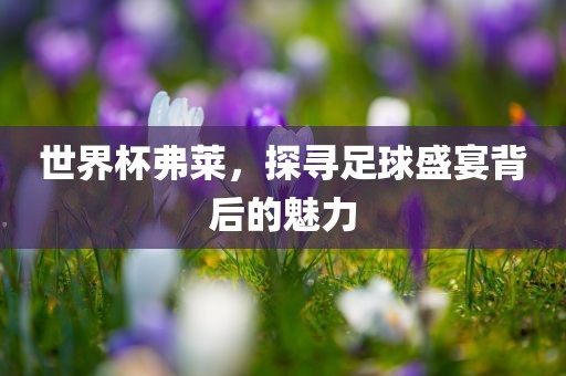 世界杯弗莱，探寻足球盛宴背后的魅力
