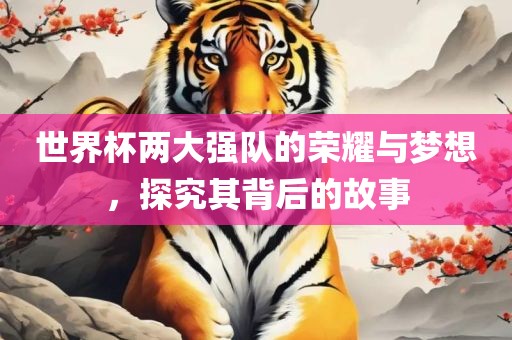 世界杯两大强队的荣耀与梦想，探究其背后的故事