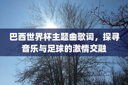巴西世界杯主题曲歌词，探寻音乐与足球的激情交融