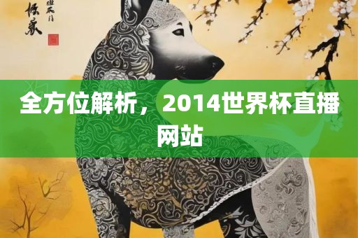 全方位解析，2014世界杯直播网站