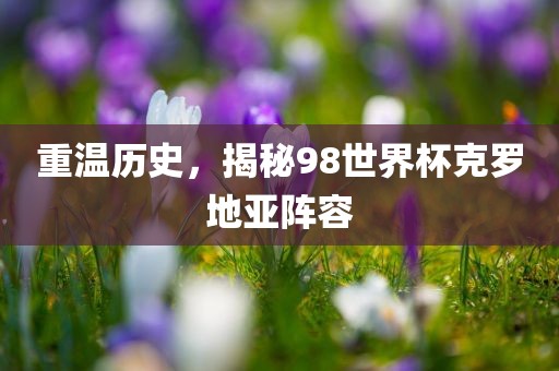 重温历史，揭秘98世界杯克罗地亚阵容