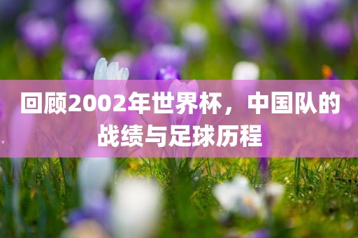 回顾2002年世界杯，中国队的战绩与足球历程