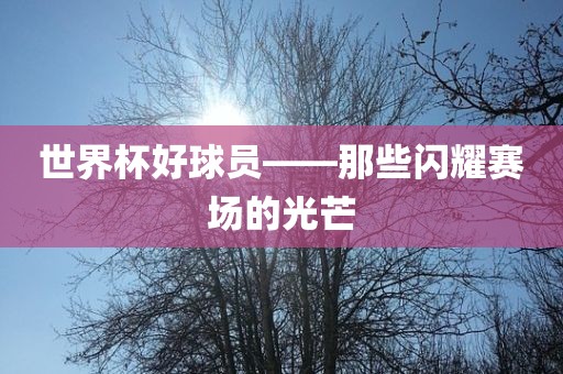 pengzhiyu 第6页