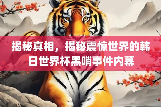 揭秘真相，揭秘震惊世界的韩日世界杯黑哨事件内幕