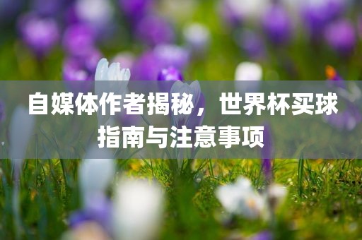 自媒体作者揭秘，世界杯买球指南与注意事项