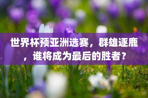 世界杯预亚洲选赛，群雄逐鹿，谁将成为最后的胜者？漯河市盈旭机械设备有限公司