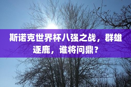 斯诺克世界杯八强之战，群雄逐鹿，谁将问鼎？