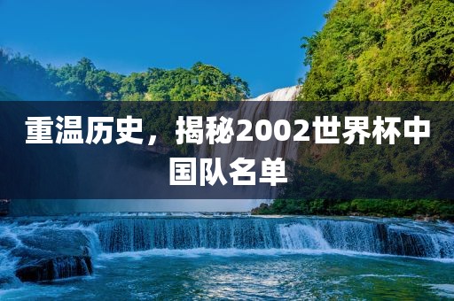 重温历史，揭秘2002世界杯中国队名单