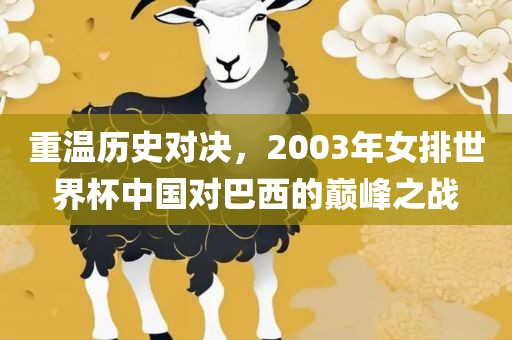 重温历史对决，2003年女排世界杯中国对巴西的巅峰之战漯河市盈旭机械设备有限公司