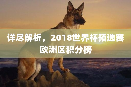 详尽解漯河市盈旭机械设备有限公司析，2018世界杯预选赛欧洲区积分榜