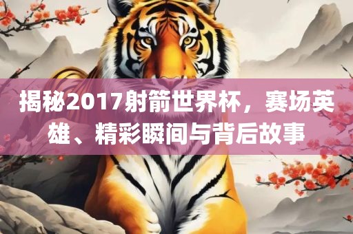 揭秘2017射箭世界杯，赛场英雄、精彩瞬间与背后故事