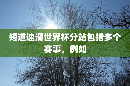 短道速滑世界杯分站包括多个赛事，例如