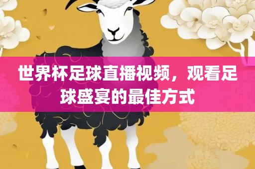 世界杯足球直播视频，观看足球盛宴的最佳方式