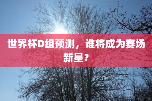 世界杯D组预测，谁将漯河市盈旭机械设备有限公司成为赛场新星？