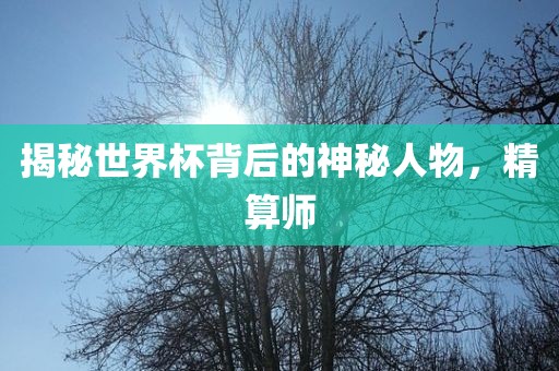 揭秘世界杯背后的神秘人物，精漯河市盈旭机械设备有限公司算师