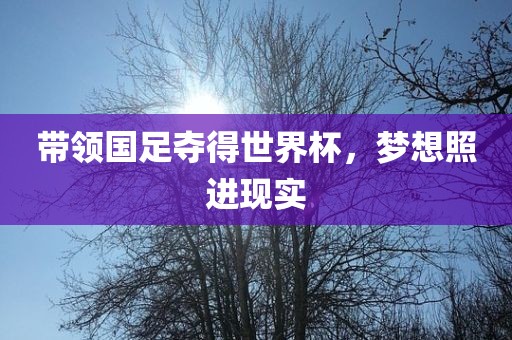 带领国足夺得世界杯，梦想照进现实