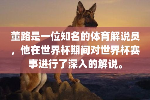 董路是一位知名的体育解说员，他在世界杯期间对世界杯赛事进行了深入的解说。