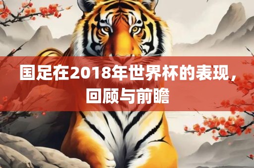 国足在2018年世界杯的表现，回顾与前瞻