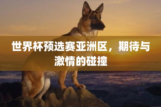 世界杯预选赛亚洲区，期待与激情的碰撞