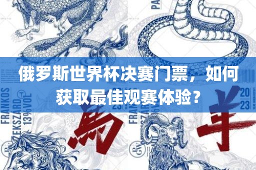 俄罗斯世界杯决赛门票，如何获取最佳观赛体验？