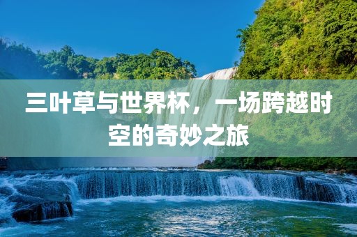 三叶草与世界杯，一场跨越时空的奇妙之旅漯河市盈旭机械设备有限公司
