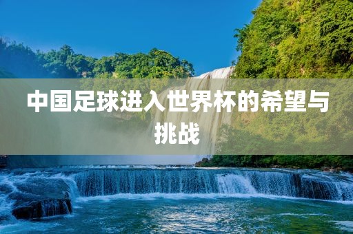 中国足球进入世界杯的希望与挑战