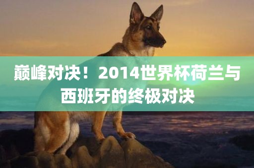 巅峰对决！2014世界杯荷兰与西班牙的终极对决