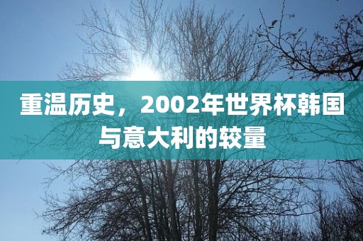 重温历史，2002年世界杯韩国与意大利的较量