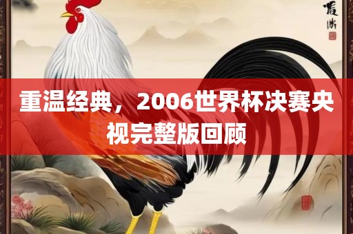 重温经典，2006世界杯决赛央视完整版回顾漯河市盈旭机械设备有限公司