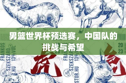 男篮世界杯预选赛，中国队的挑战与希望