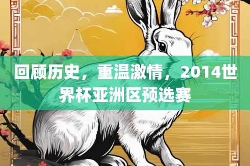 回顾历史，重温激情，2014世界杯亚洲区预选赛