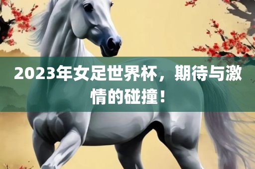 2023年女足世界杯，期待与激情的碰撞！