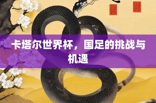 卡塔尔世界杯，国足的挑战与机遇