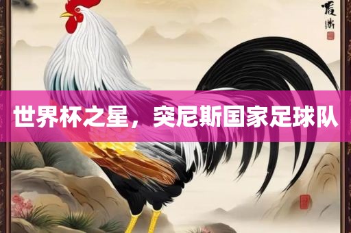 世界杯之星，突尼斯国家足球队
