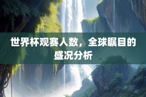 世界杯观赛人数，全球瞩目的盛况分析