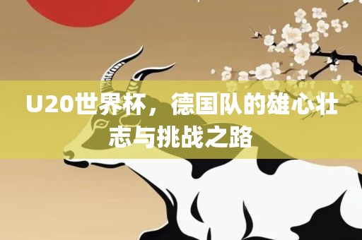 U20世界杯，德国队的雄心壮志与挑战之路